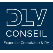 DLV CONSEIL – Expert-comptable logo