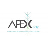 APEX EDP – Expert-comptable logo